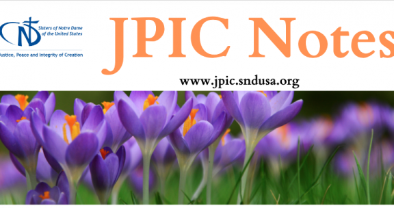 JPIC NOTES SP24
